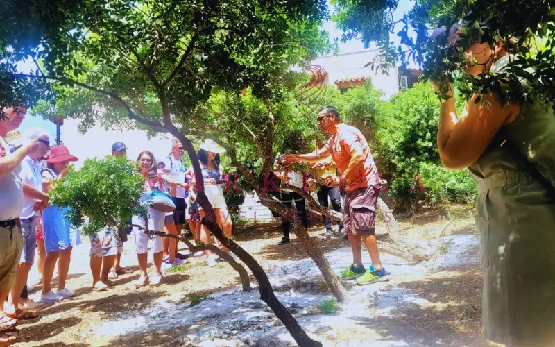 Bahadır Çimen ile 23 nisan Sakız Adası Turu